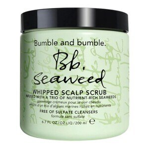 BUMBLE AND BUMBLE - Seaweed Scalp Scrub - Vlasový peeling