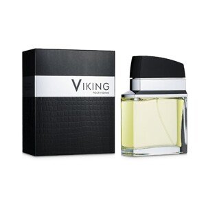 Flavia Viking Pour Homme - EDP 100 ml