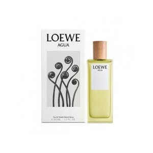 Loewe Agua - EDT 75 ml
