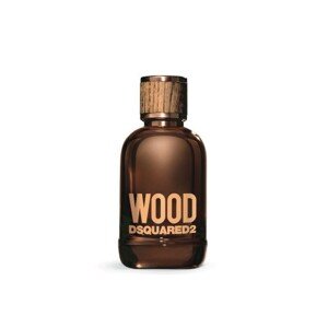 Dsquared2 Wood pour homme toaletní voda 100 ml